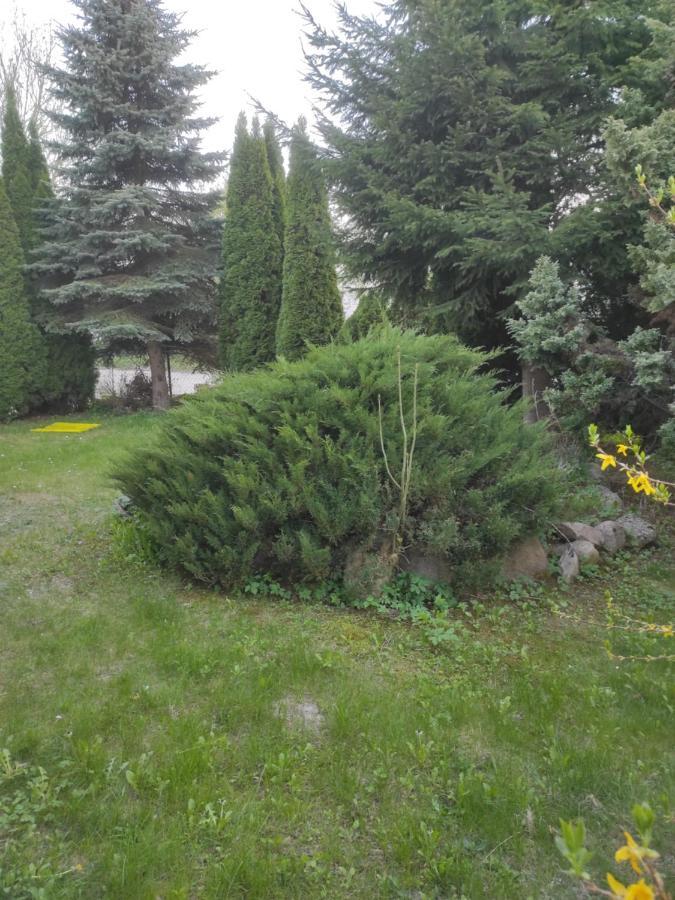 Apartamenty Z Ogrodem Nr 2 Typu Studio Mragowo Luaran gambar